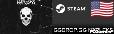 GGDROP.GG NARLEKS Steam Signature