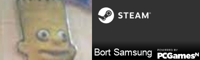 Bort Samsung Steam Signature