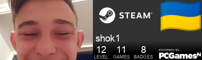 shok1 Steam Signature