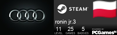 ronin jr.3 Steam Signature