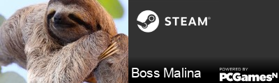 Boss Malina Steam Signature