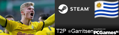 T2P ⍟Garritsen Steam Signature