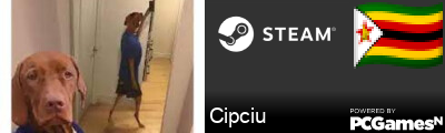 Cipciu Steam Signature