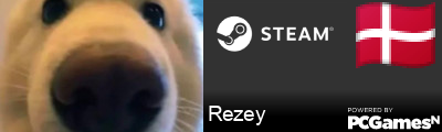Rezey Steam Signature