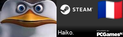 Haiko. Steam Signature
