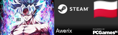 Awerix Steam Signature