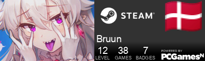 Bruun Steam Signature