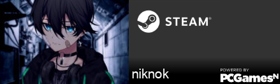 niknok Steam Signature