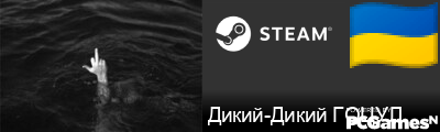 Дикий-Дикий ГОЦУЛ Steam Signature