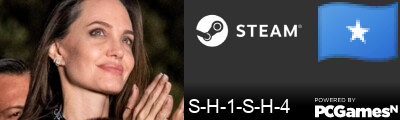 S-H-1-S-H-4 Steam Signature