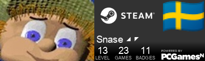 Snase ◢ ◤ Steam Signature