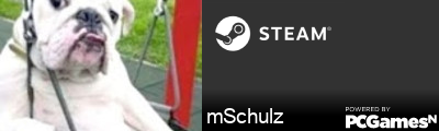 mSchulz Steam Signature