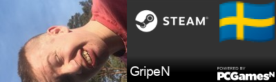 GripeN Steam Signature