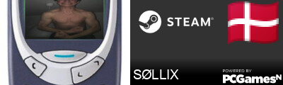 SØLLIX Steam Signature