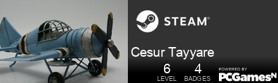 Cesur Tayyare Steam Signature