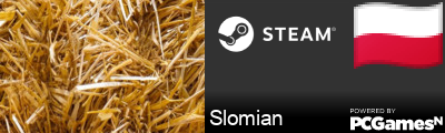 Slomian Steam Signature