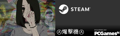 Ⓐ爆撃機Ⓐ Steam Signature