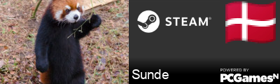Sunde Steam Signature