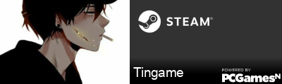 Tingame Steam Signature