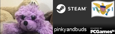 pinkyandbuds Steam Signature