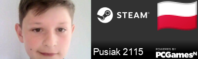 Pusiak 2115 Steam Signature