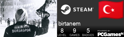 birtanem Steam Signature
