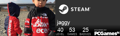 jaggy Steam Signature