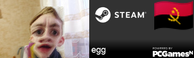 egg Steam Signature
