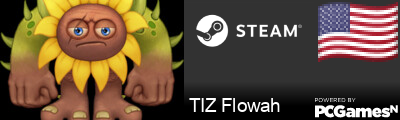 TIZ Flowah Steam Signature