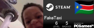 FakeTaxi Steam Signature