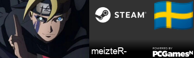meizteR- Steam Signature