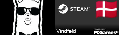 Vindfeld Steam Signature