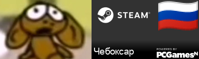 Чебоксар Steam Signature