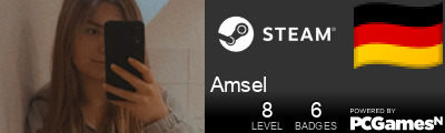 Amsel Steam Signature