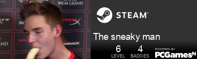 The sneaky man Steam Signature
