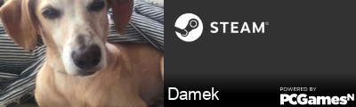 Damek Steam Signature