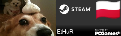EtHuR Steam Signature