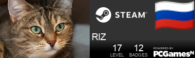 RIZ Steam Signature