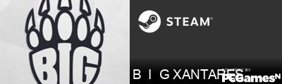 B  I  G XANTARES Steam Signature