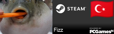 Fizz Steam Signature