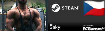 Šaky Steam Signature