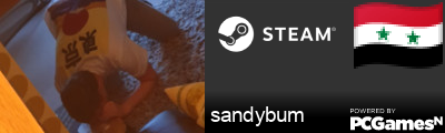 sandybum Steam Signature