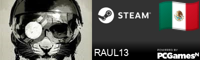 RAUL13 Steam Signature