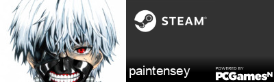 paintensey Steam Signature