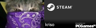 kriso Steam Signature