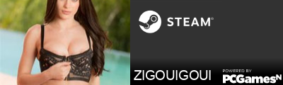 ZIGOUIGOUI Steam Signature