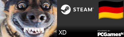 XD Steam Signature