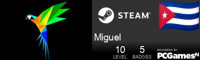 Miguel Steam Signature
