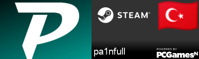 pa1nfull Steam Signature