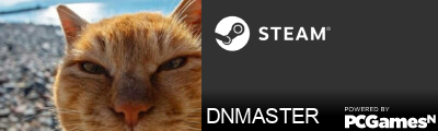 DNMASTER Steam Signature